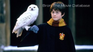 Alle Harry Potter-films vanaf zondag te zien op Net5: bekijk de programmering