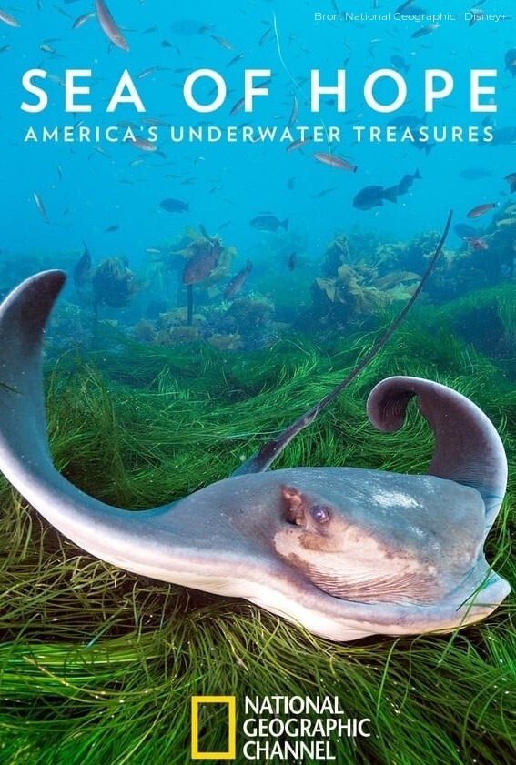 Sea of Hope: America's Underwater Treasures