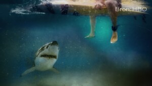 Recensie: HBO-documentaire After the Bite duikt in de oorzaken van levensgevaarlijke haaienaanvallen