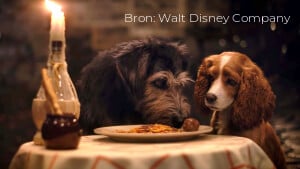 Disney Plus-recensie: Nieuwe live-action Lady and the Tramp mist snufje pit