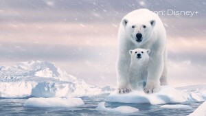 Recensie: Polar Bear laat perfect zien wat klimaatverandering met deze prachtige dieren doet