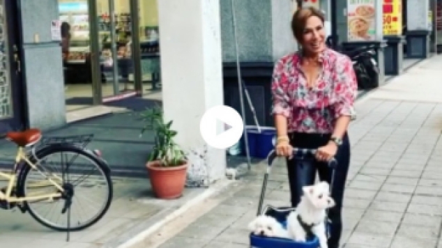 Patty Brard kidnapt twee puppies tijdens werktrip in Taiwan - Gids.tv